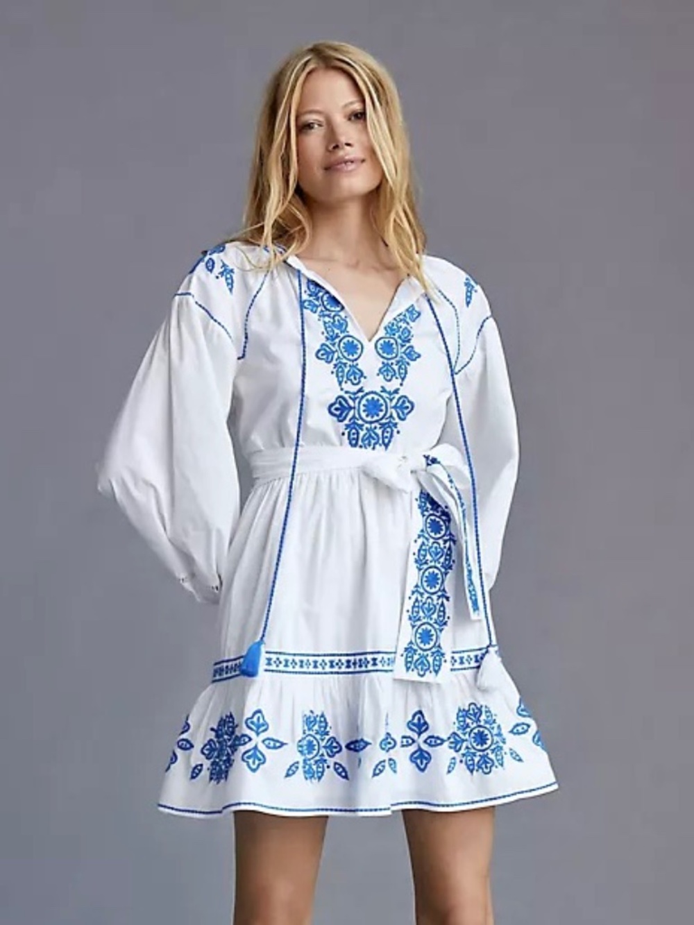 SHOSHANNA Jana Embroidered Mini Dress - 4
